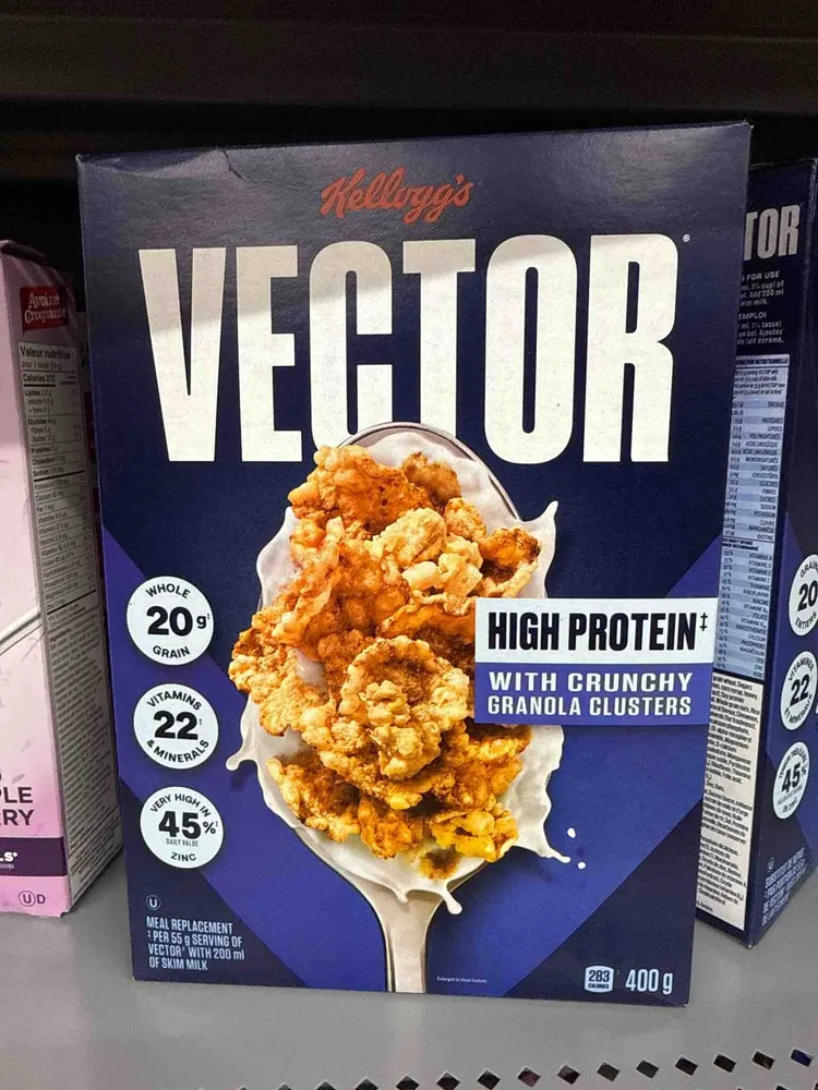 Vector
