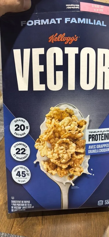 Vector