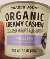 Creamy Cashew Cultured Yogurt Alternative