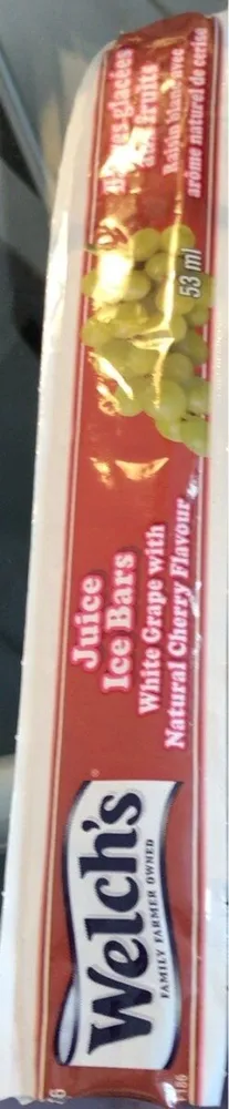 Barres glacées aux fruits