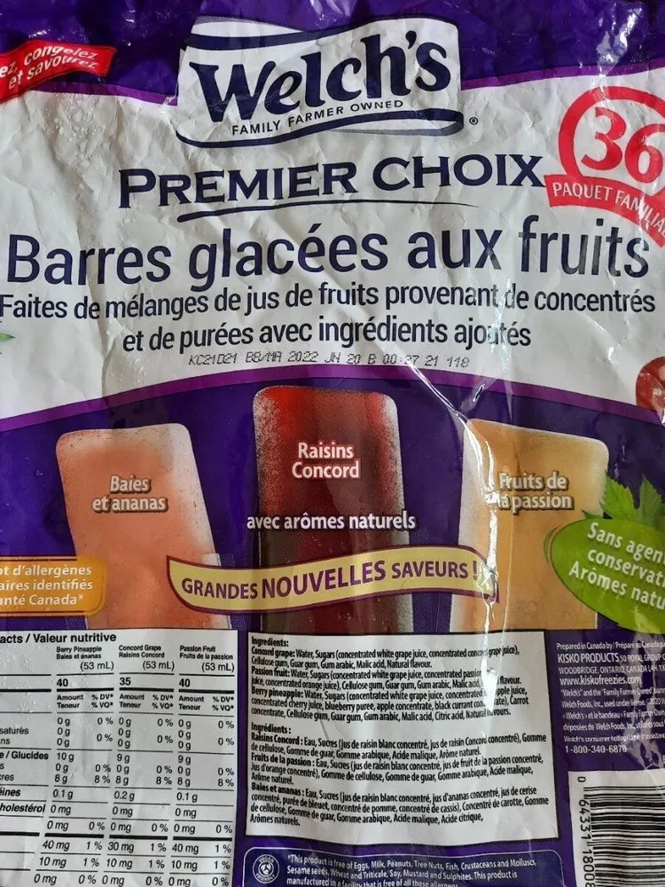 Barres glacées aux fruits