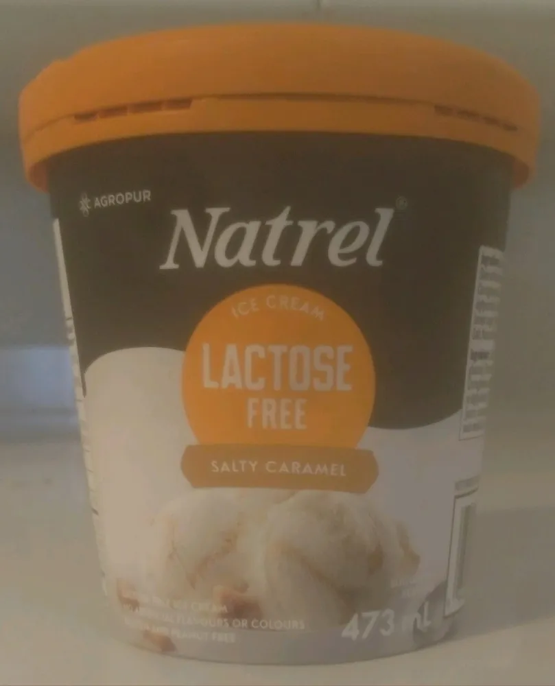 Lactose Free Salty Caramel Ice Cream