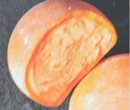 Mochi Natrel