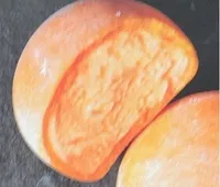 Mochi Natrel