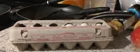 Eggs