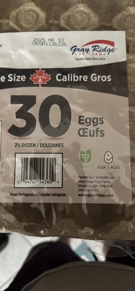 Eggs