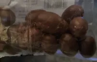 Milk chocolate almonds