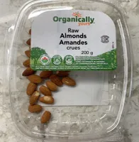 Amandes Crues