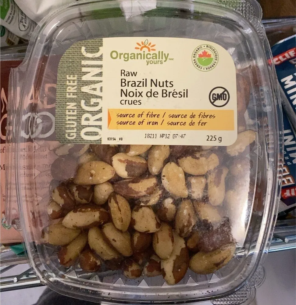 raw brazil nuts