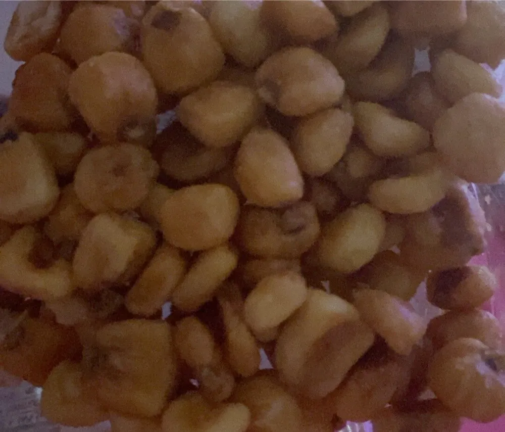 Salted Toasted Corn