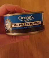 Thon pâle en morceaux