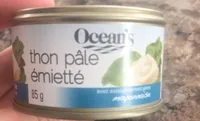 Skipjack Mayonnaise Style Flaked Light Tuna