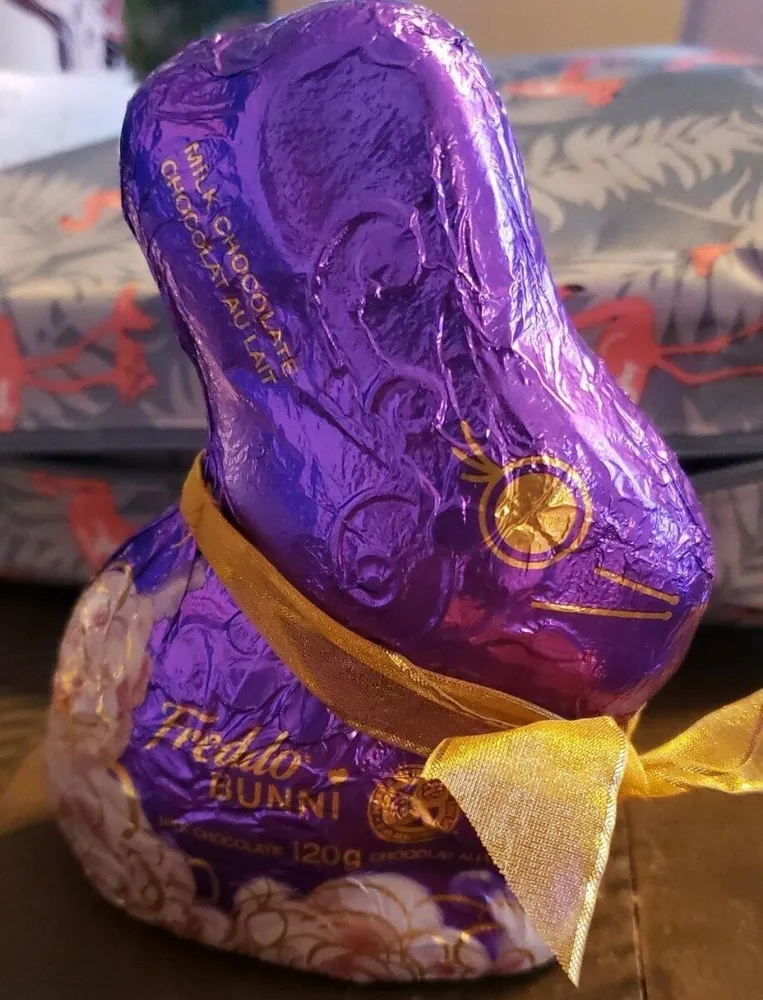 Freddo bunni