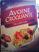 Oatmeal crisp triple berry