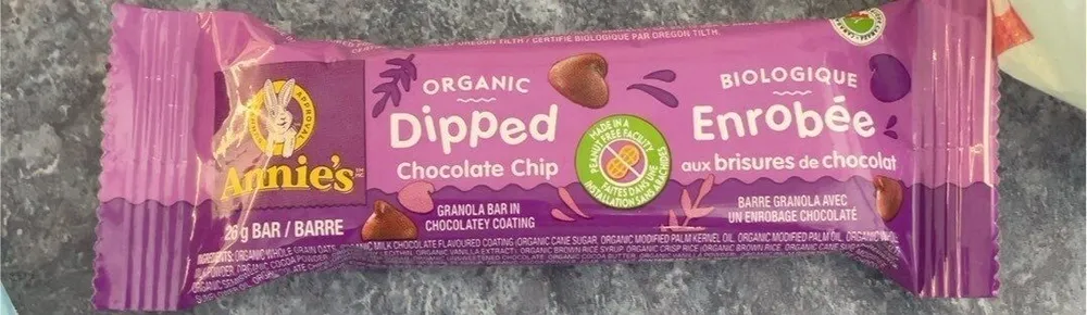 Dipped chocolate chip