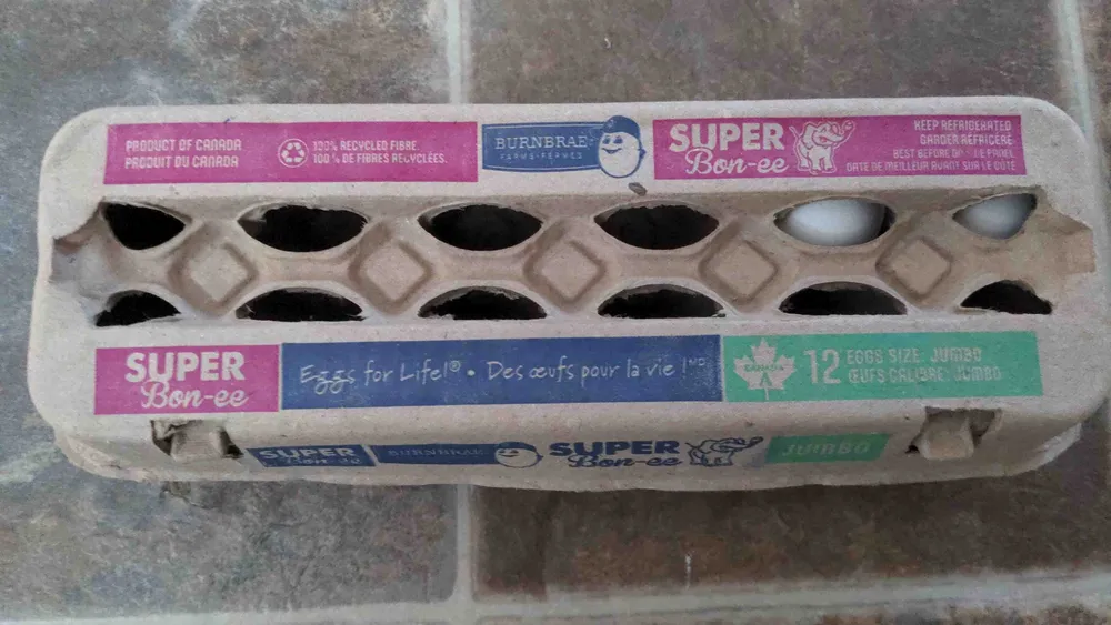 Large eggs