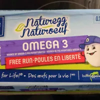 Large Free-Run Chicken  Eggs