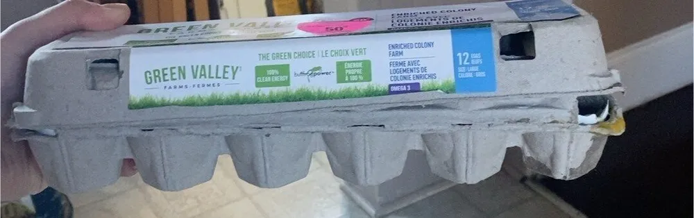 12 large eggs