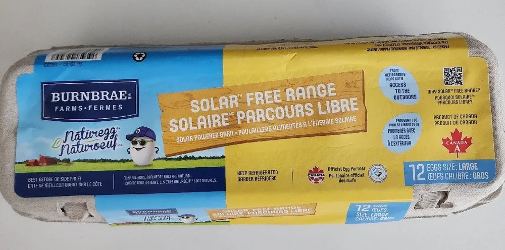Solar free range eggs