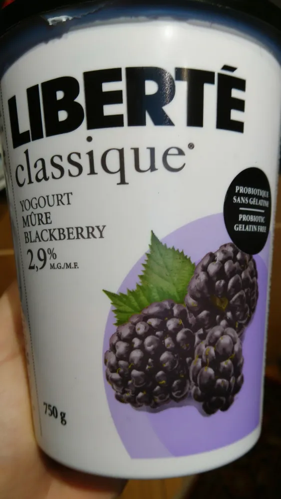 liberté classique yogourt mûre blackberry