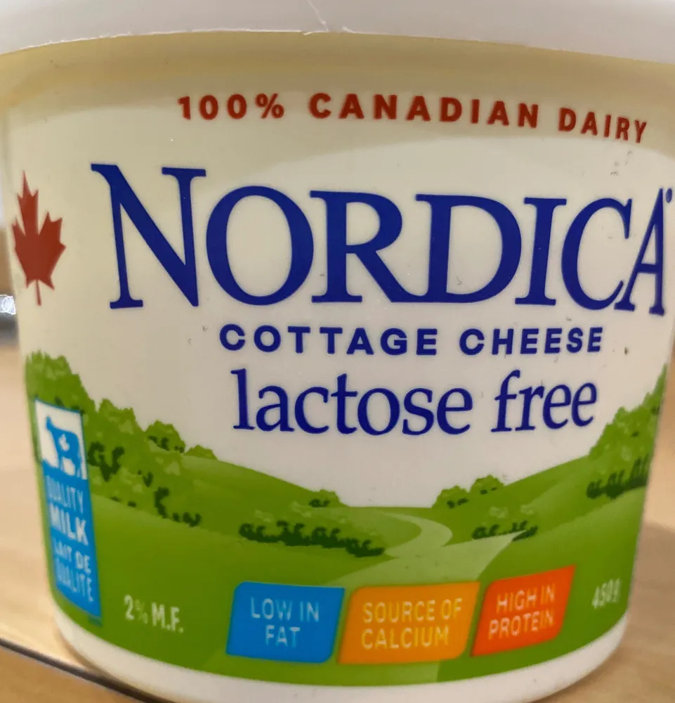 Fromage cottage sans lactose