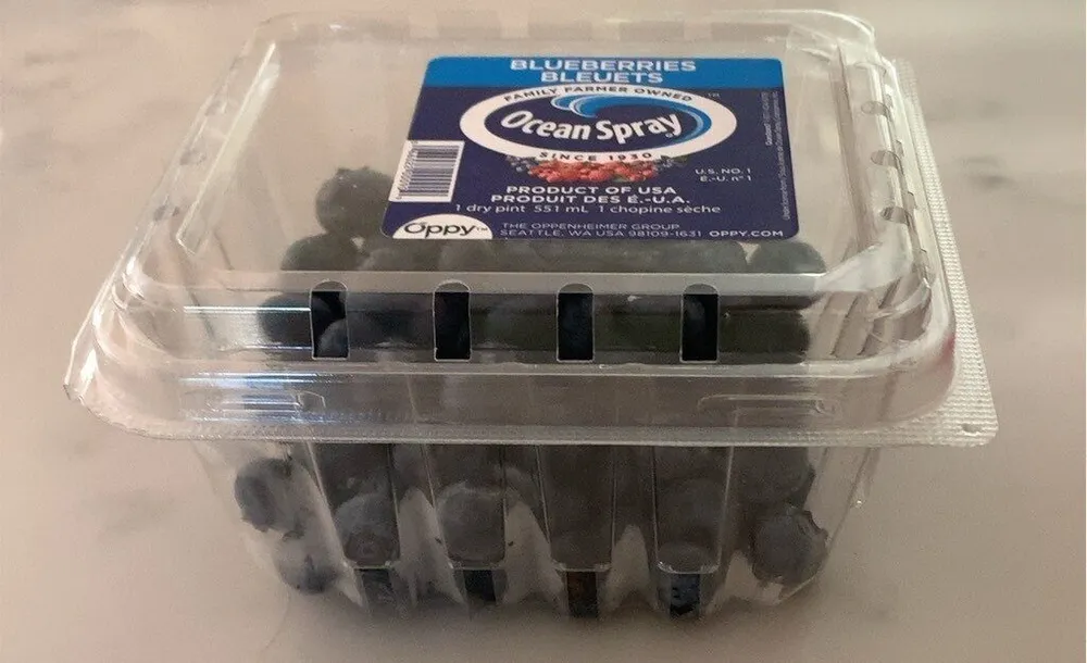 Blueberries Bleuets