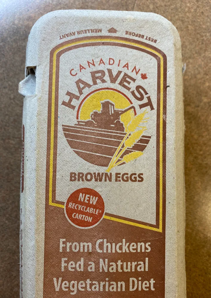 12 Large Chicken Eggs, brown.