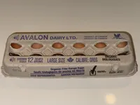 Large eggs
