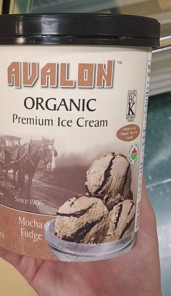 Mocha ice cream