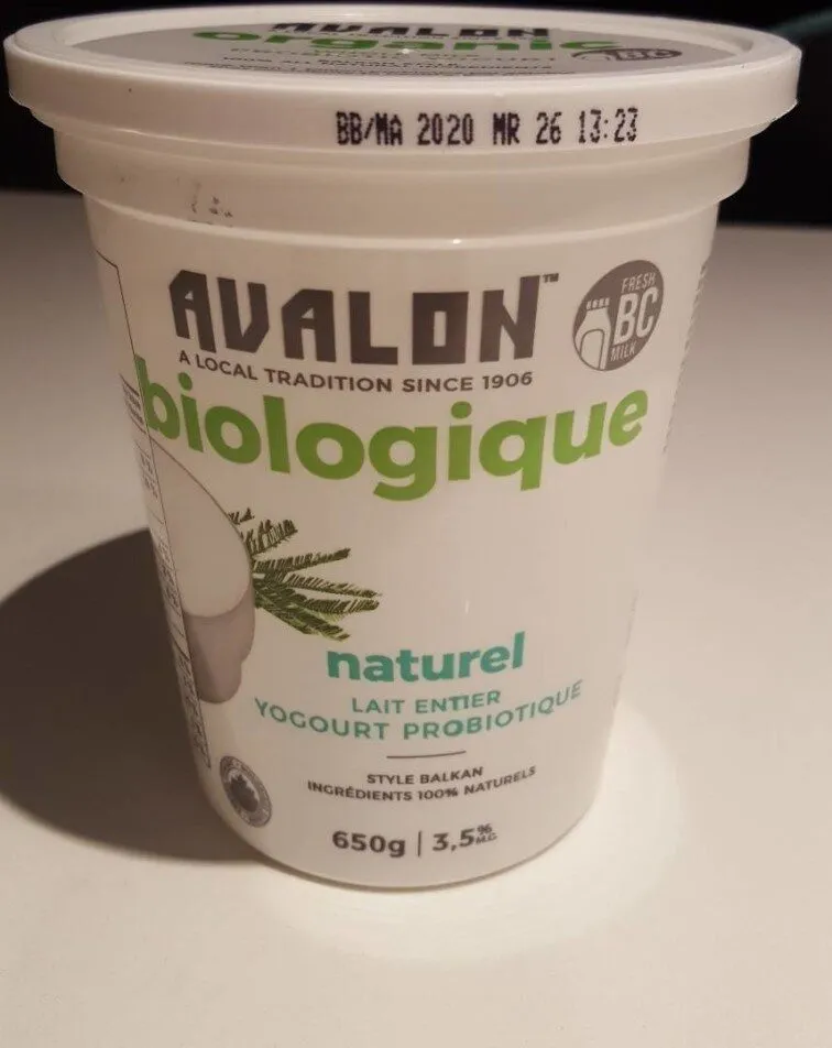 Avalon biologique yagourt probiotique