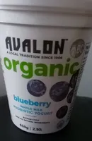 Blueberry Whole Milk Probiotic Yogurt