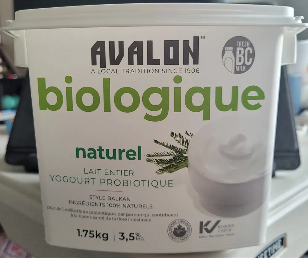 Plain Whole Milk Probiotic Yogurt