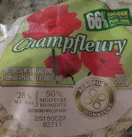 Champfleury