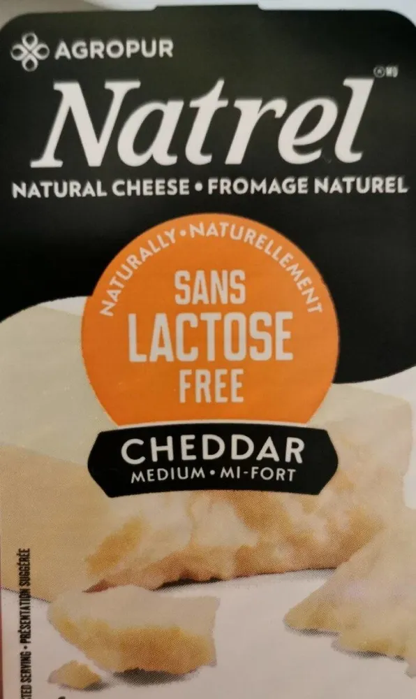 Natrel petit fromage