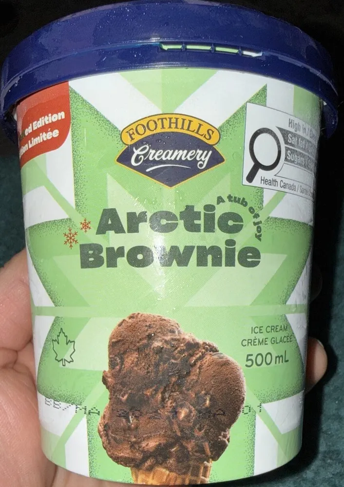 Arctic Brownie Ice Cream