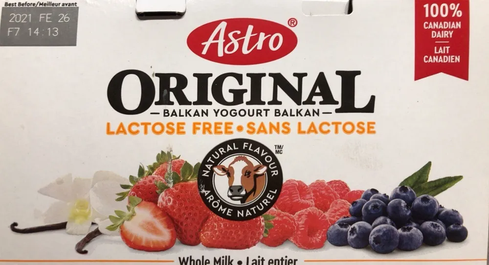Lactose free balkan yogourt