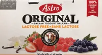 Lactose free balkan yogourt