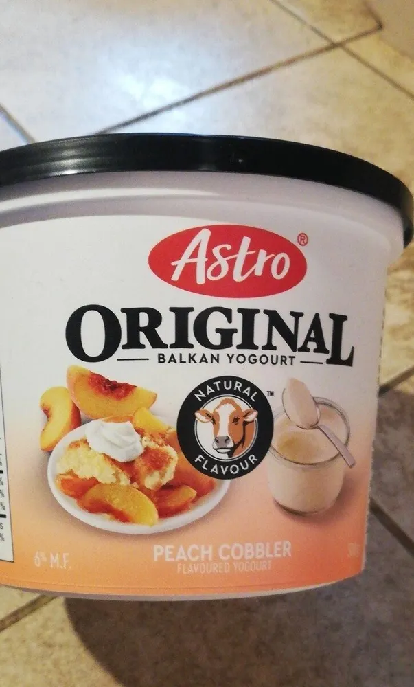 original balkan yogourt