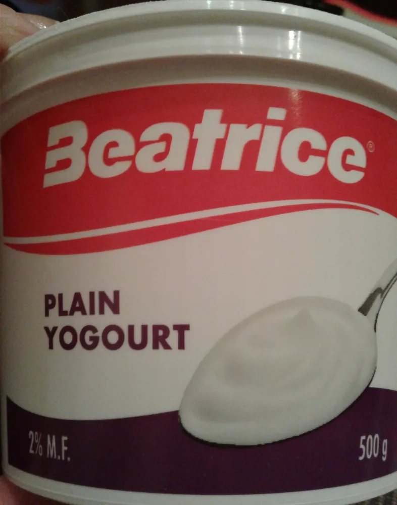 Yogourt nature
