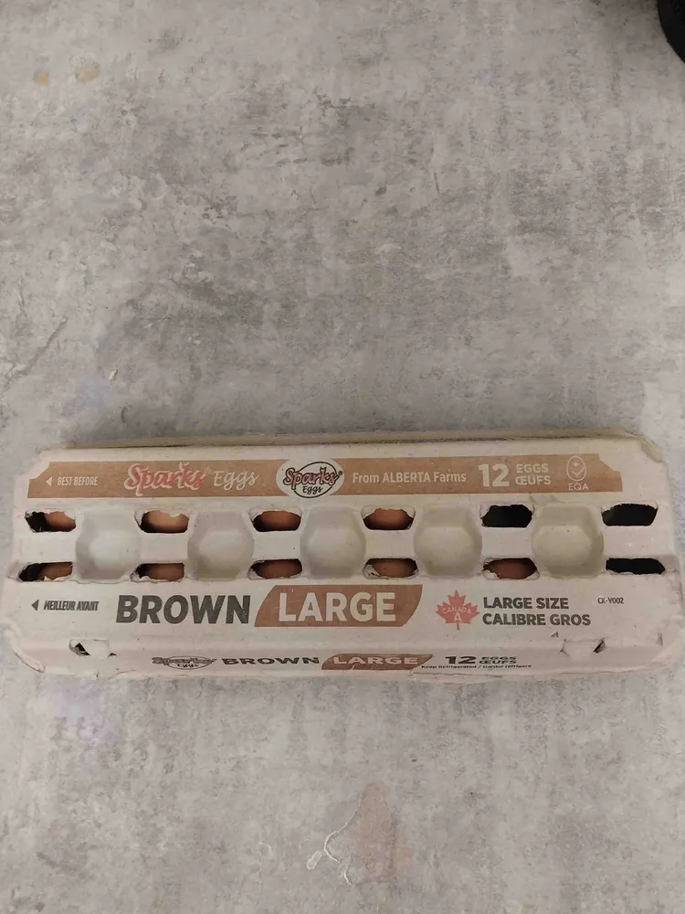 Large Brown Eggs