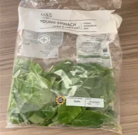 Young spinach