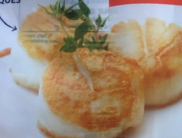 Scallops
