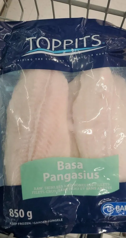 Basa pangasius