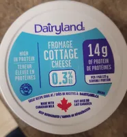 Cottage cheese