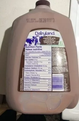 Chocolate Milk