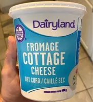 Cottage cheese