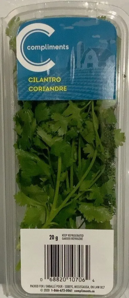 Coriandre