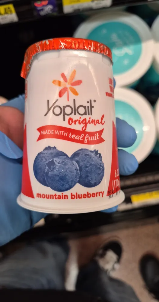 mountain blueberry