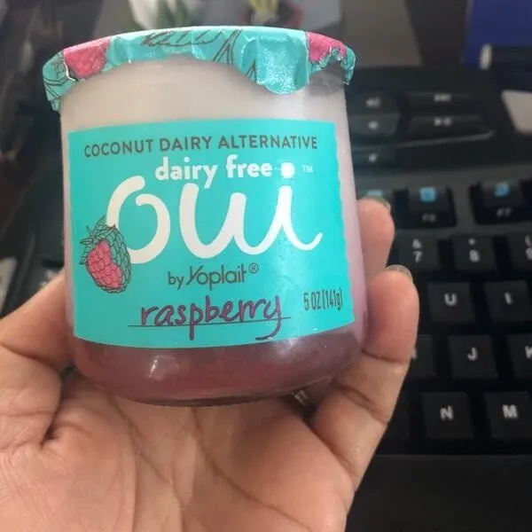 Dairy free raspberry coconut dairy alternative