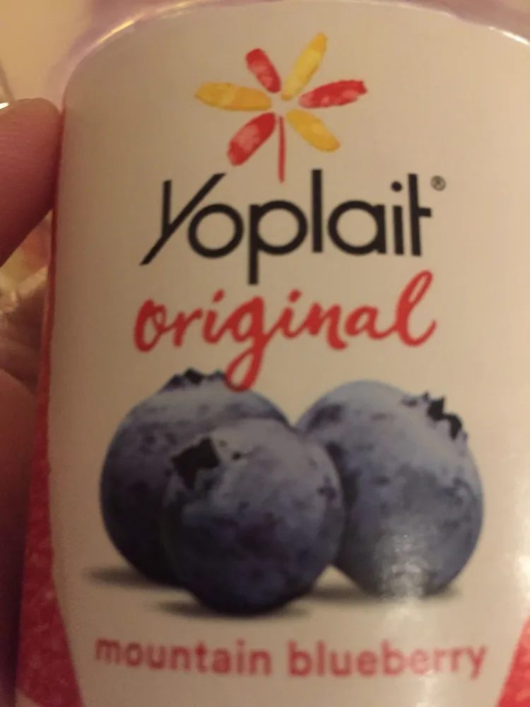 Yoplait Original Mountain Blueberry Low Fat Yogurt